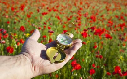 Kompas in hand in veld met bloemen
