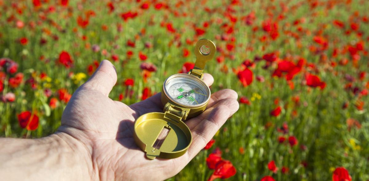 Kompas in hand in veld met bloemen