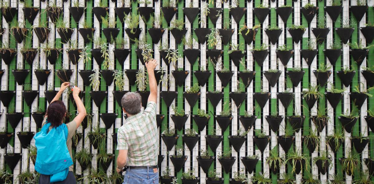 Twee mensen bij een groene muur met planten