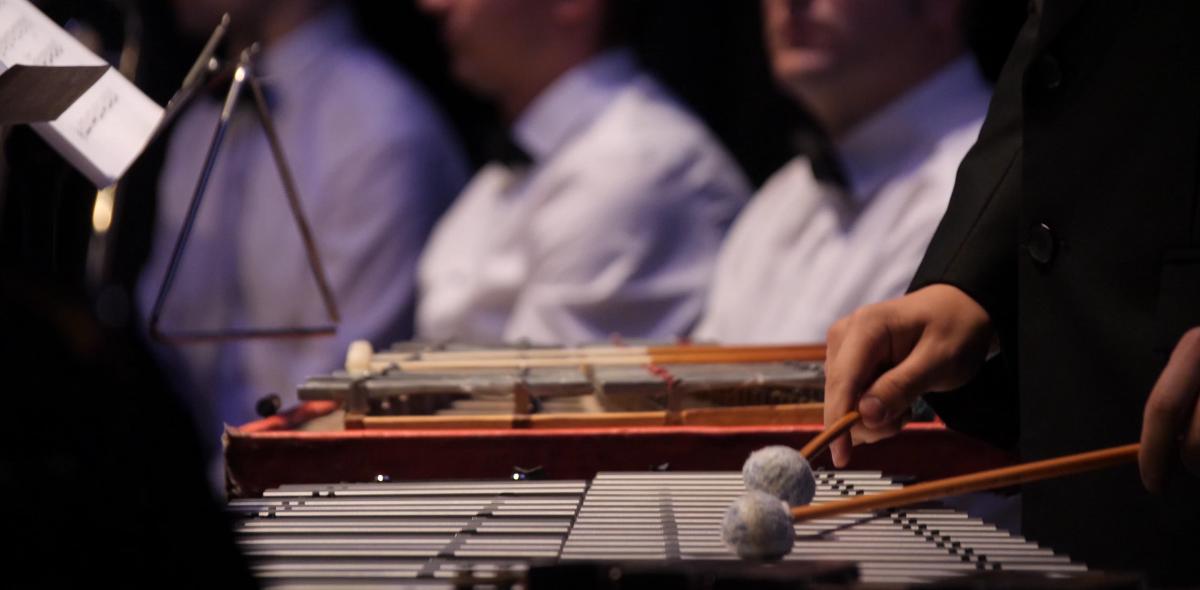 Close-up van een muzikant die op een xylofoon speelt. Vervaagd op de achtergrond zijn andere muzikanten van een orkest te zien.
